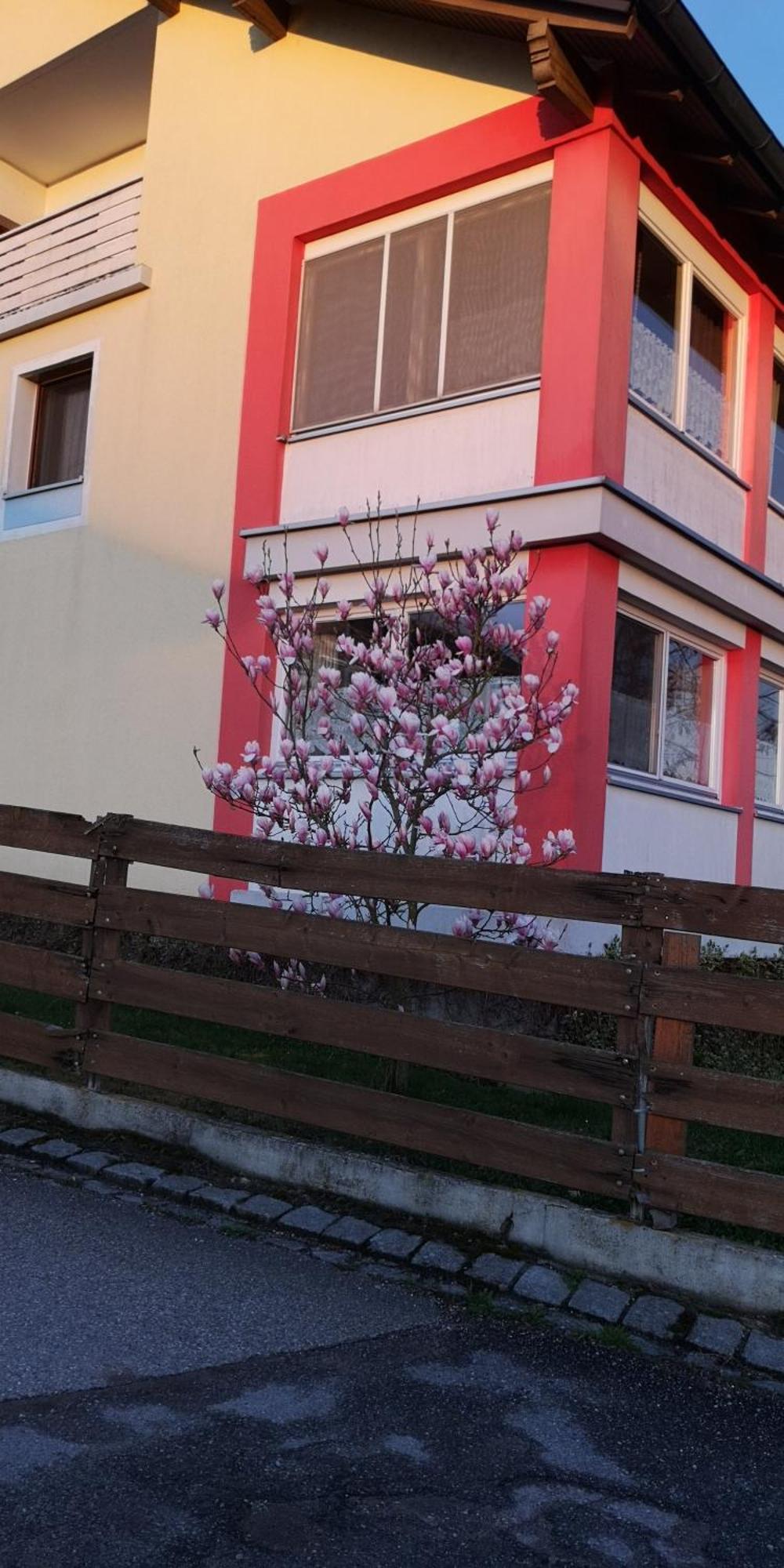 Vermietung Gisl Wiesent Dış mekan fotoğraf
