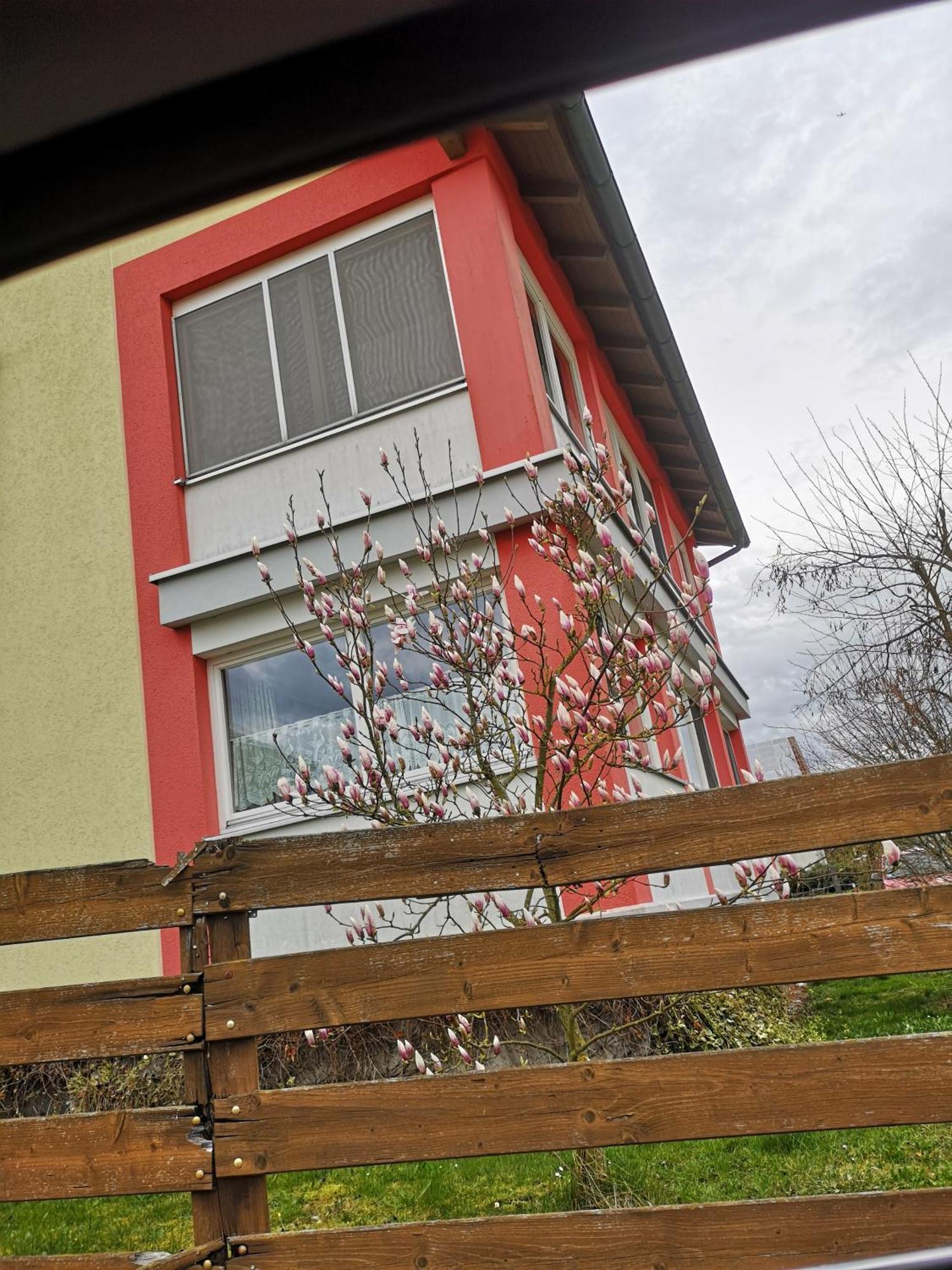 Vermietung Gisl Wiesent Dış mekan fotoğraf